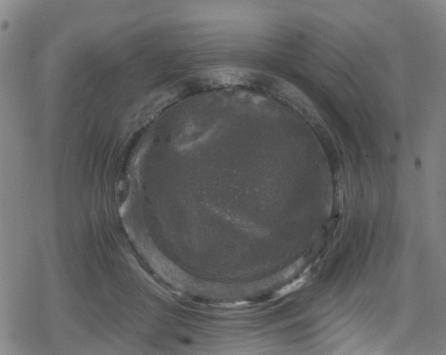 X0000078300410200611101138