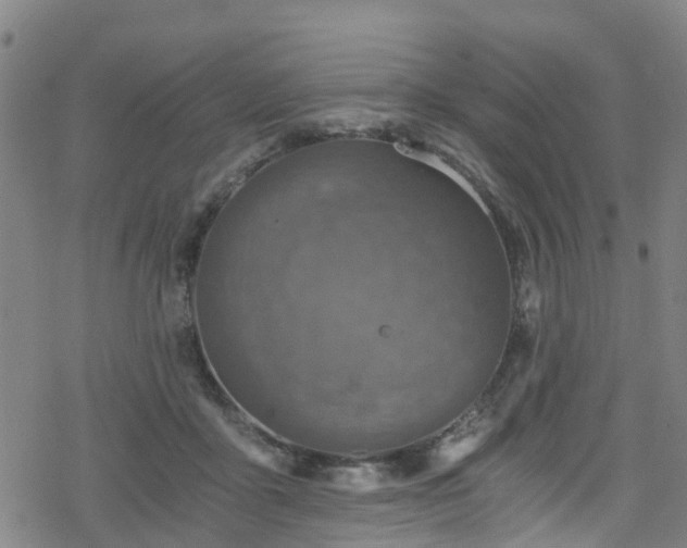 X0000078300411200611101138