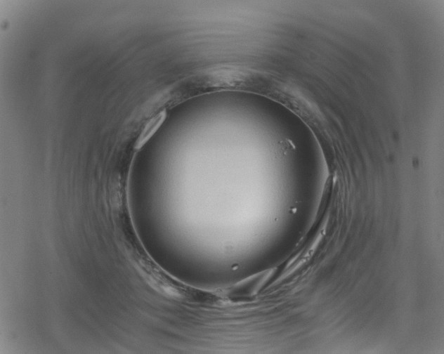 X0000078300413200611101138