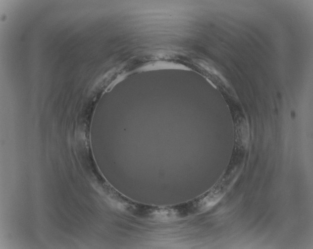 X0000078300415200611101138