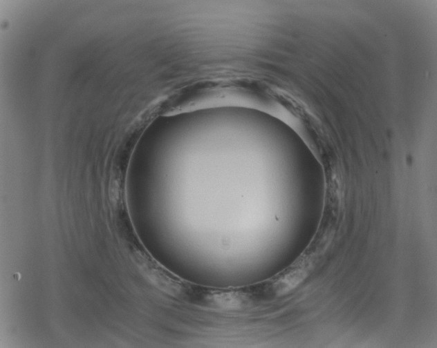 X0000078300417200611101138