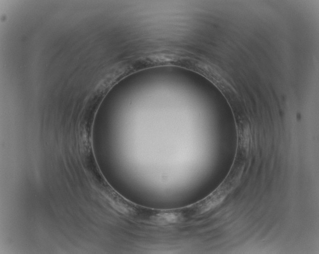 X0000078300418200611101138