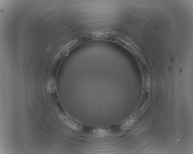 X0000078300419200611101138