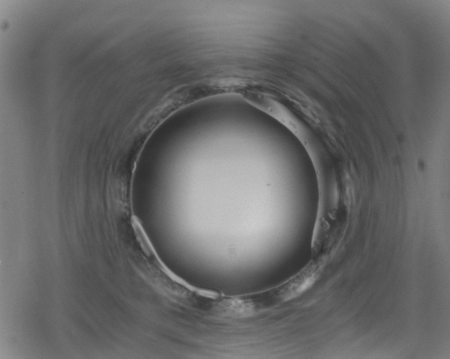 X0000078300421200611101138