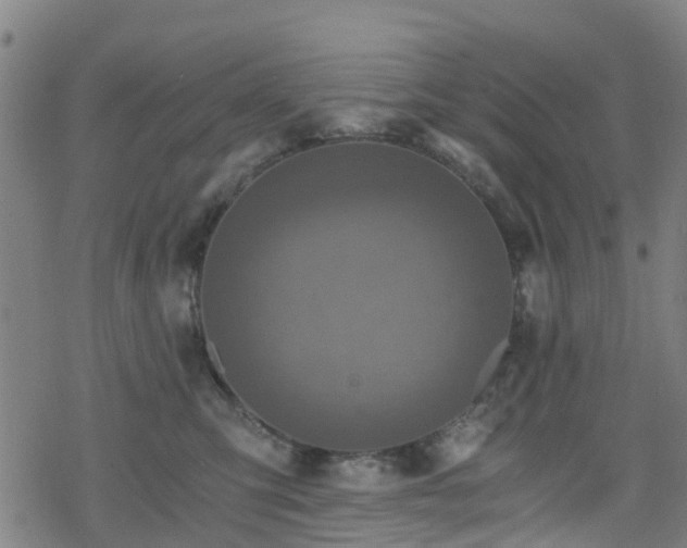 X0000078300423200611101138