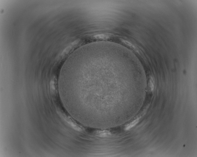 X0000078300424200611101138