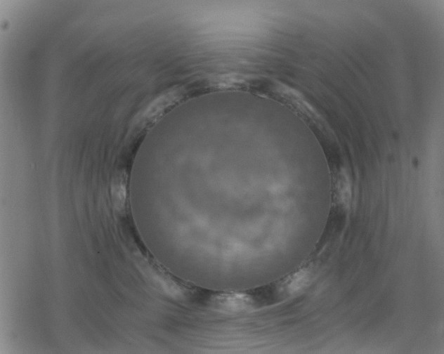 X0000078300427200611101138