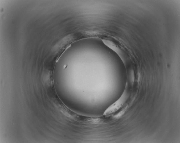 X0000078300428200611101138