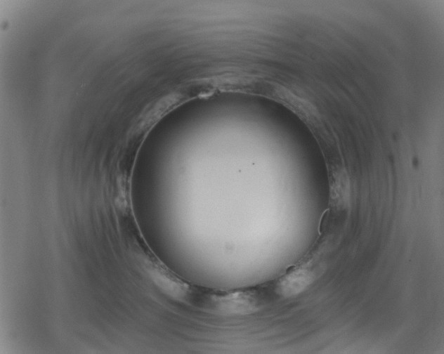 X0000078300430200611101138