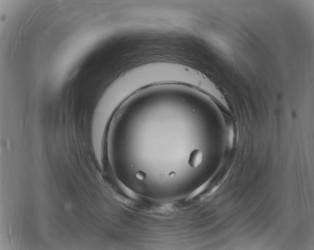 X0000078300431200611101138