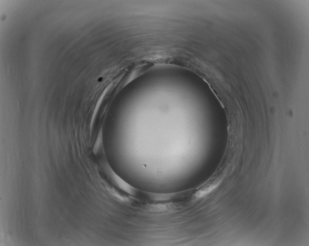 X0000078300432200611101138