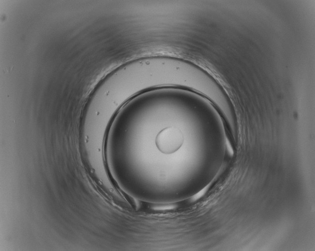 X0000078300434200611101137