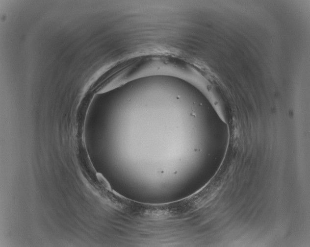 X0000078300440200611101137