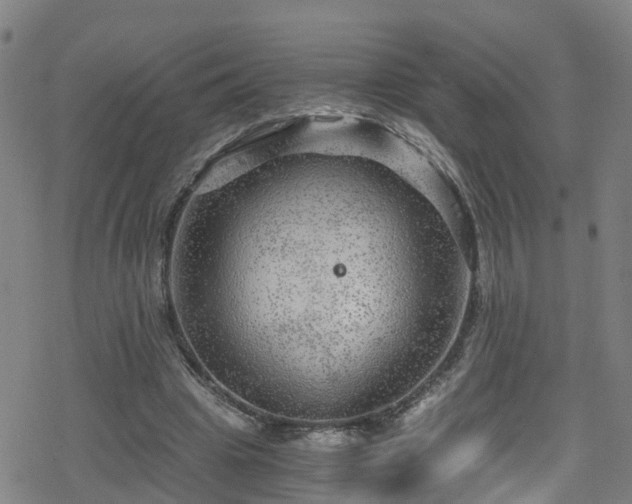 X0000078300441200611101137