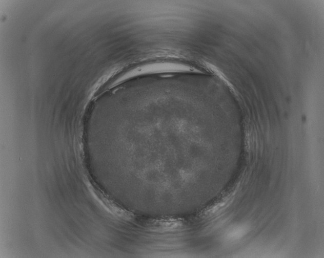 X0000078300443200611101137