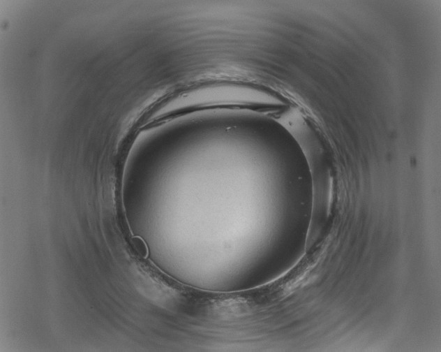 X0000078300446200611101138