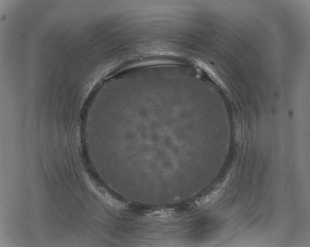 X0000078300447200611101138