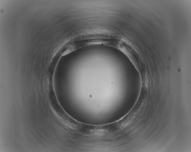 X0000078300448200611101138