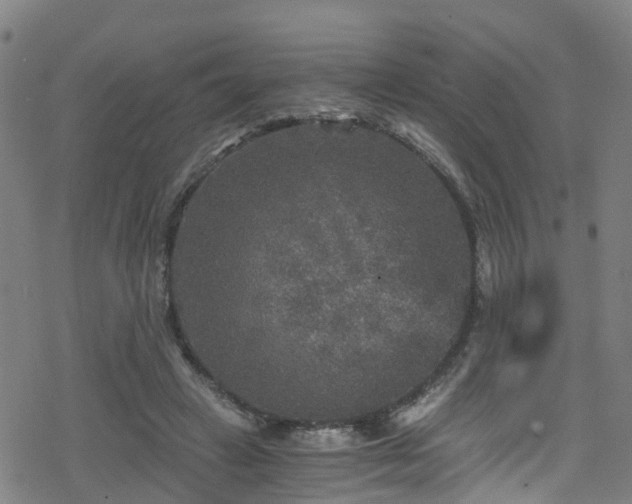 X0000078300449200611101138