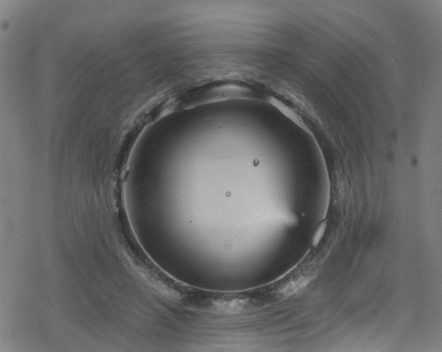 X0000078300450200611101138