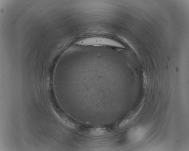 X0000078300451200611101138