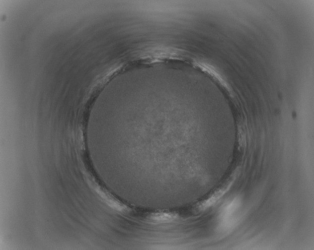 X0000078300453200611101138