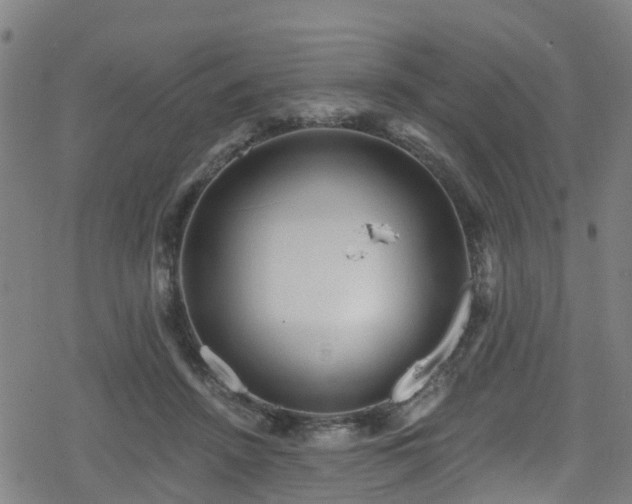 X0000078300456200611101138