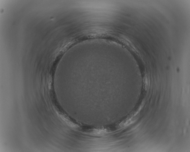 X0000078300458200611101138