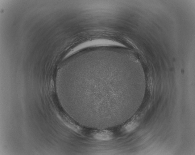 X0000078300459200611101138