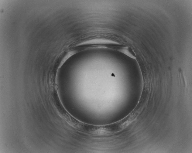 X0000078300460200611101138