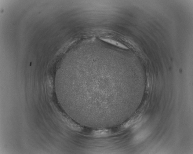 X0000078300461200611101138