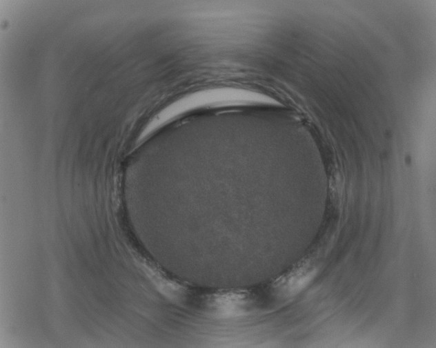 X0000078300462200611101138