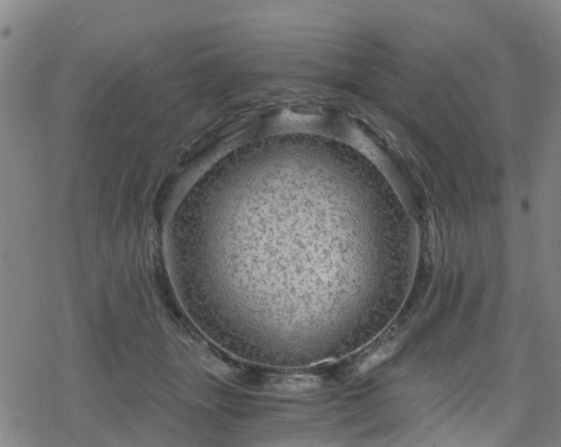 X0000078300463200611101138