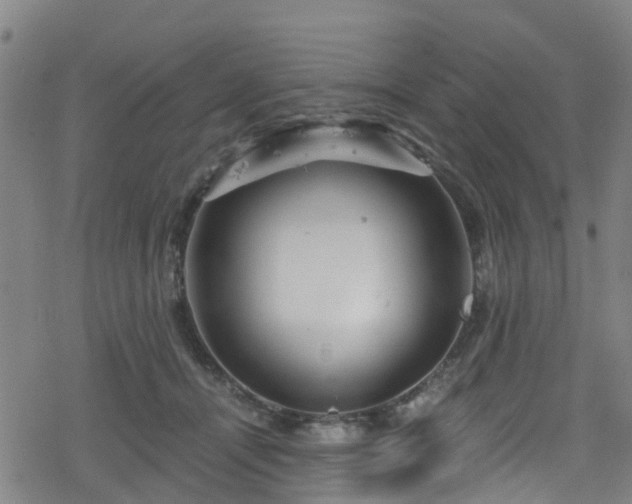 X0000078300464200611101138