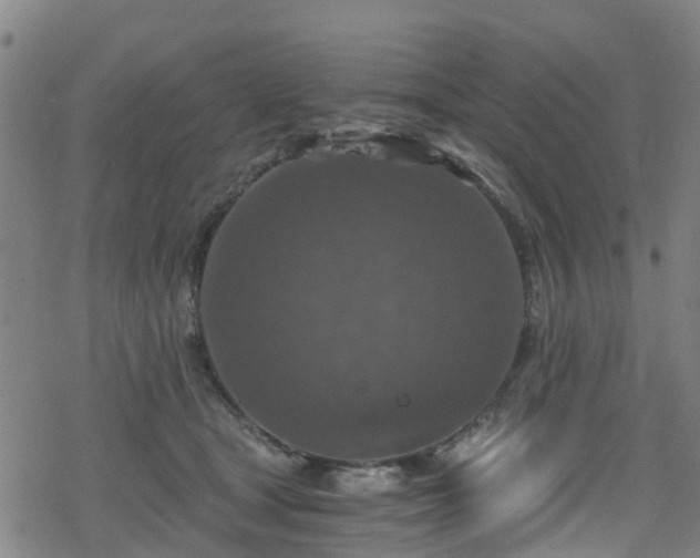 X0000078300465200611101138