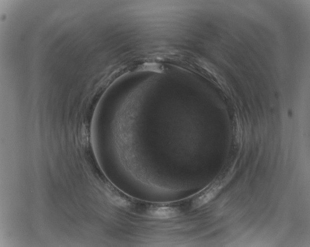 X0000078300467200611101138