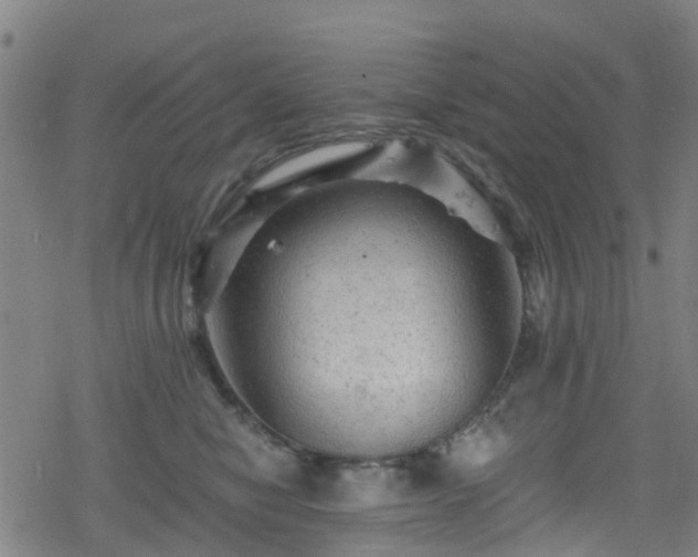 X0000078300470200611101138