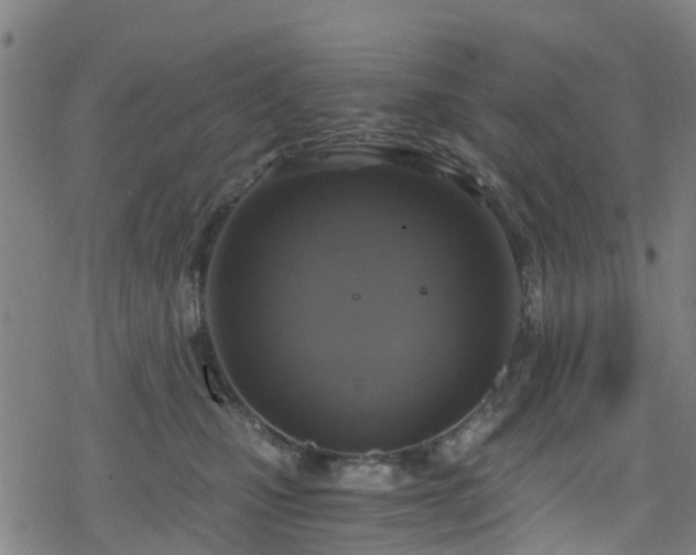 X0000078300471200611101138