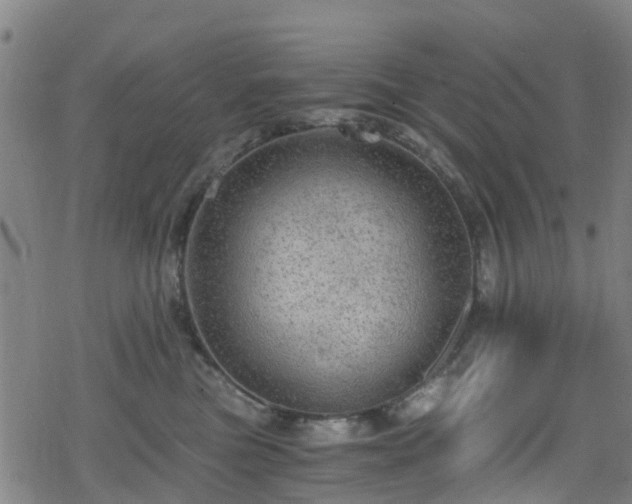 X0000078300473200611101138