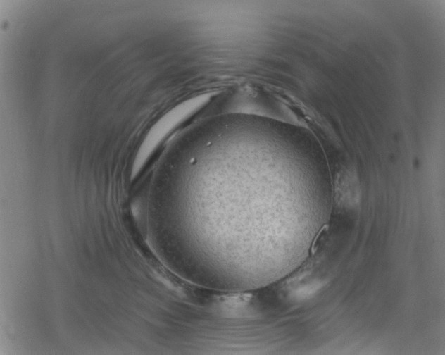 X0000078300474200611101138