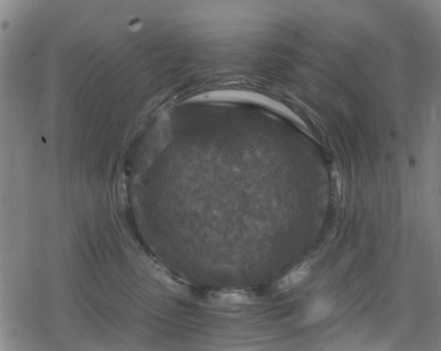 X0000078300475200611101138