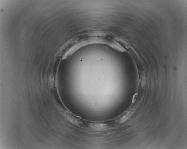 X0000078300476200611101138