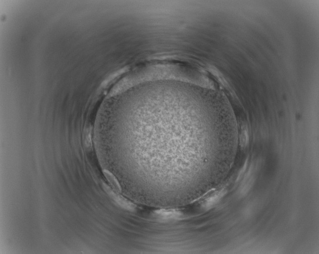 X0000078300477200611101138