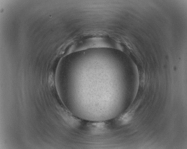 X0000078300478200611101138