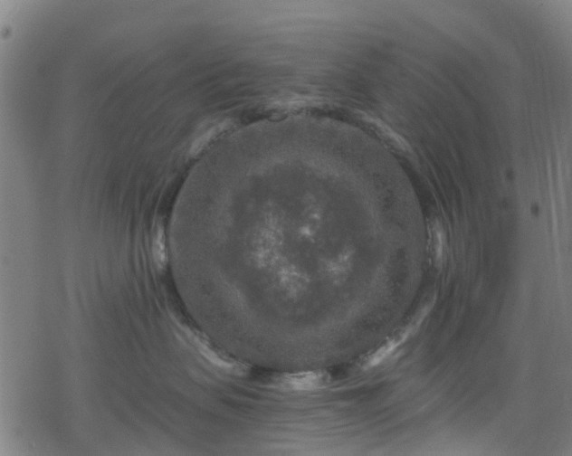 X0000078300479200611101138