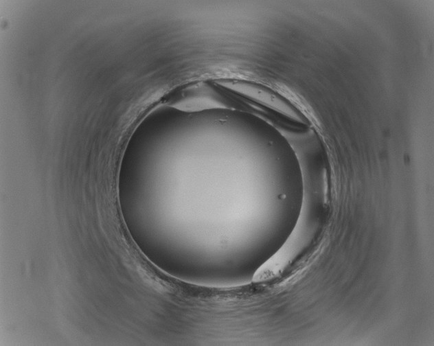 X0000078300481200611101137