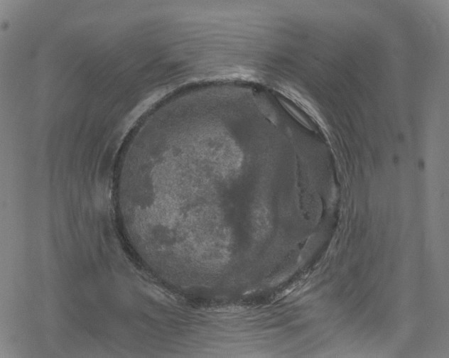 X0000078300483200611101137