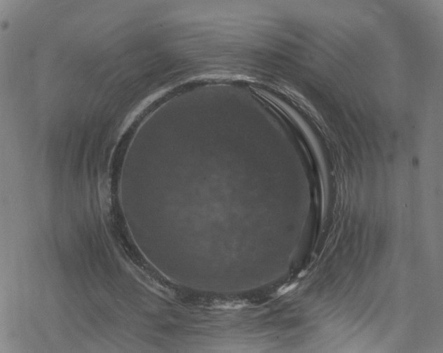 X0000078300484200611101137