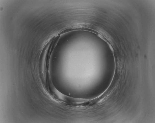 X0000078300485200611101137