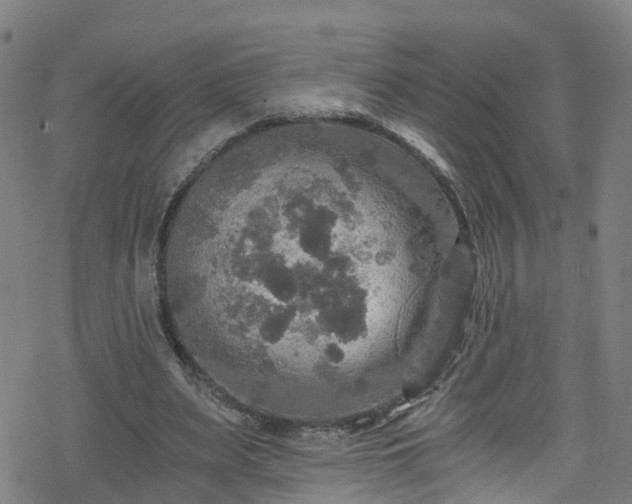 X0000078300487200611101137